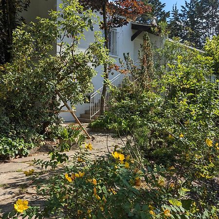 Maison Spacieuse Et Lumineuse 4 Personnes Lavilledieu  Luaran gambar